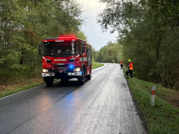 TECHNICKÁ POMOC - ODSTRANĚNÍ STROMU, Ohnišťovice